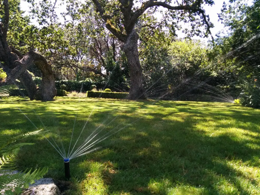 Sprinkler System Installation